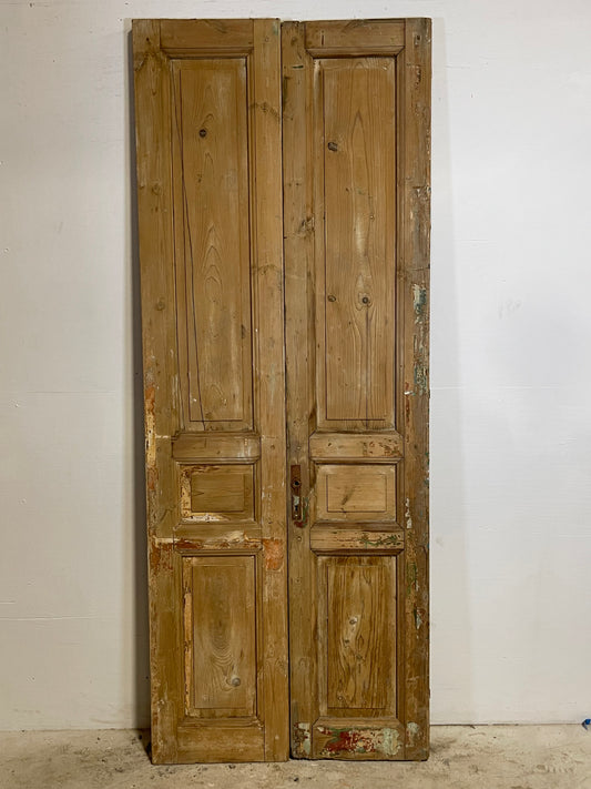 Antique French panel Doors (93x36.25) L273