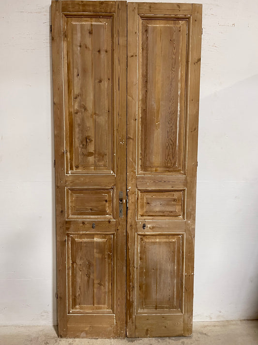 Antique French Panel Doors (98.25x41.5) J666