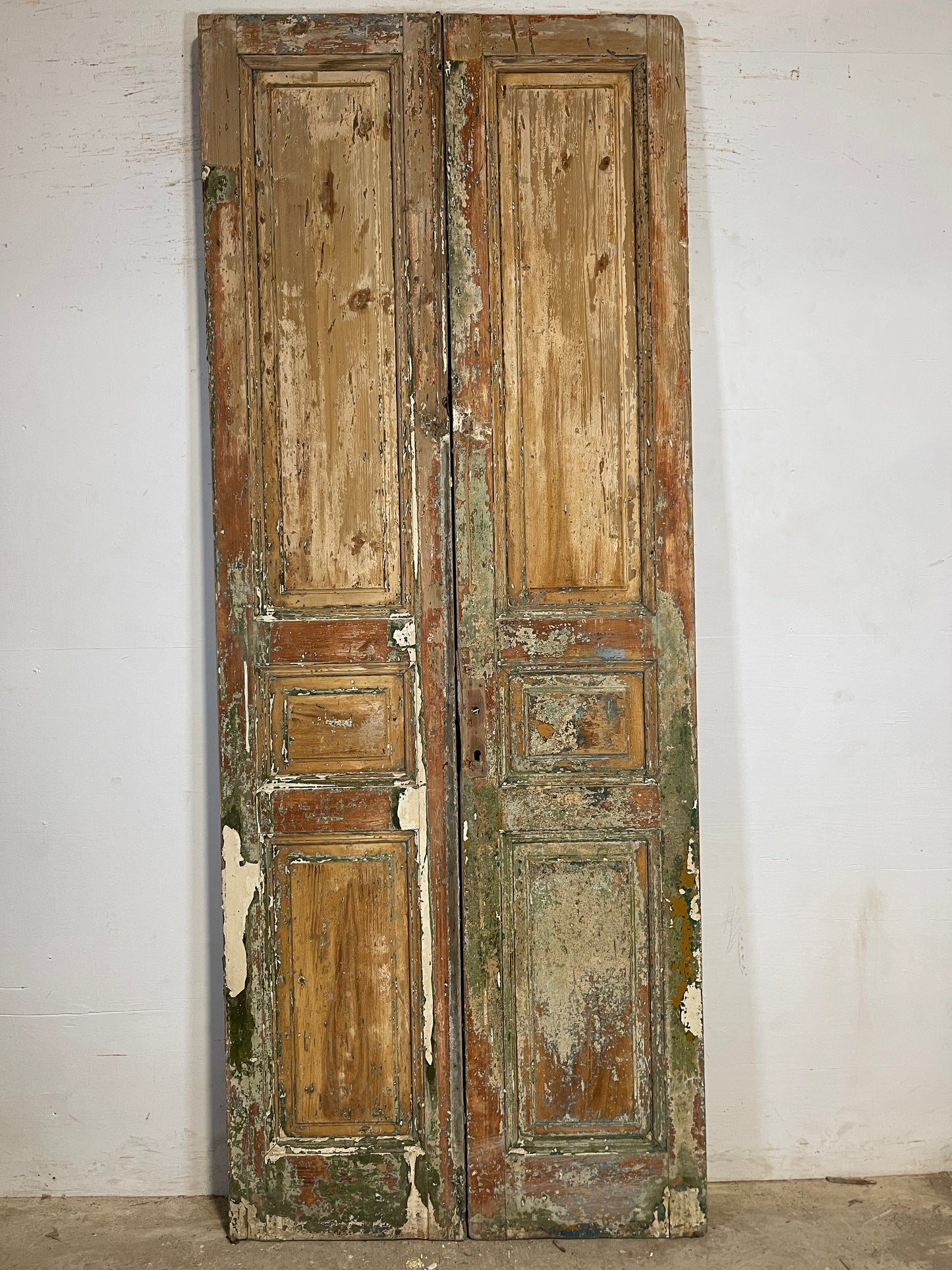 Antique French panel Doors (98.25x38.75) K643