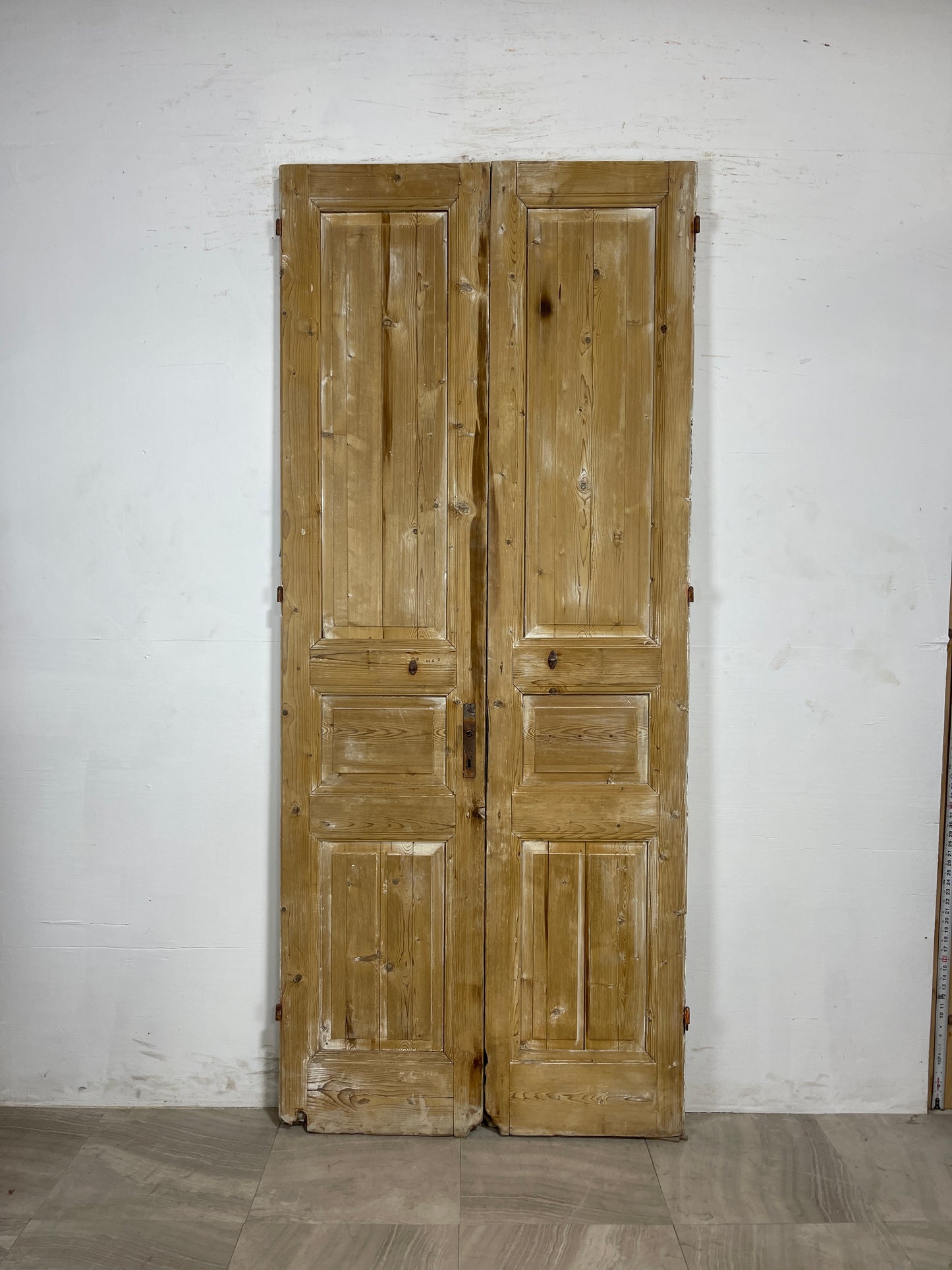 Antique French panel Doors (93.25 x 39.75)   N094