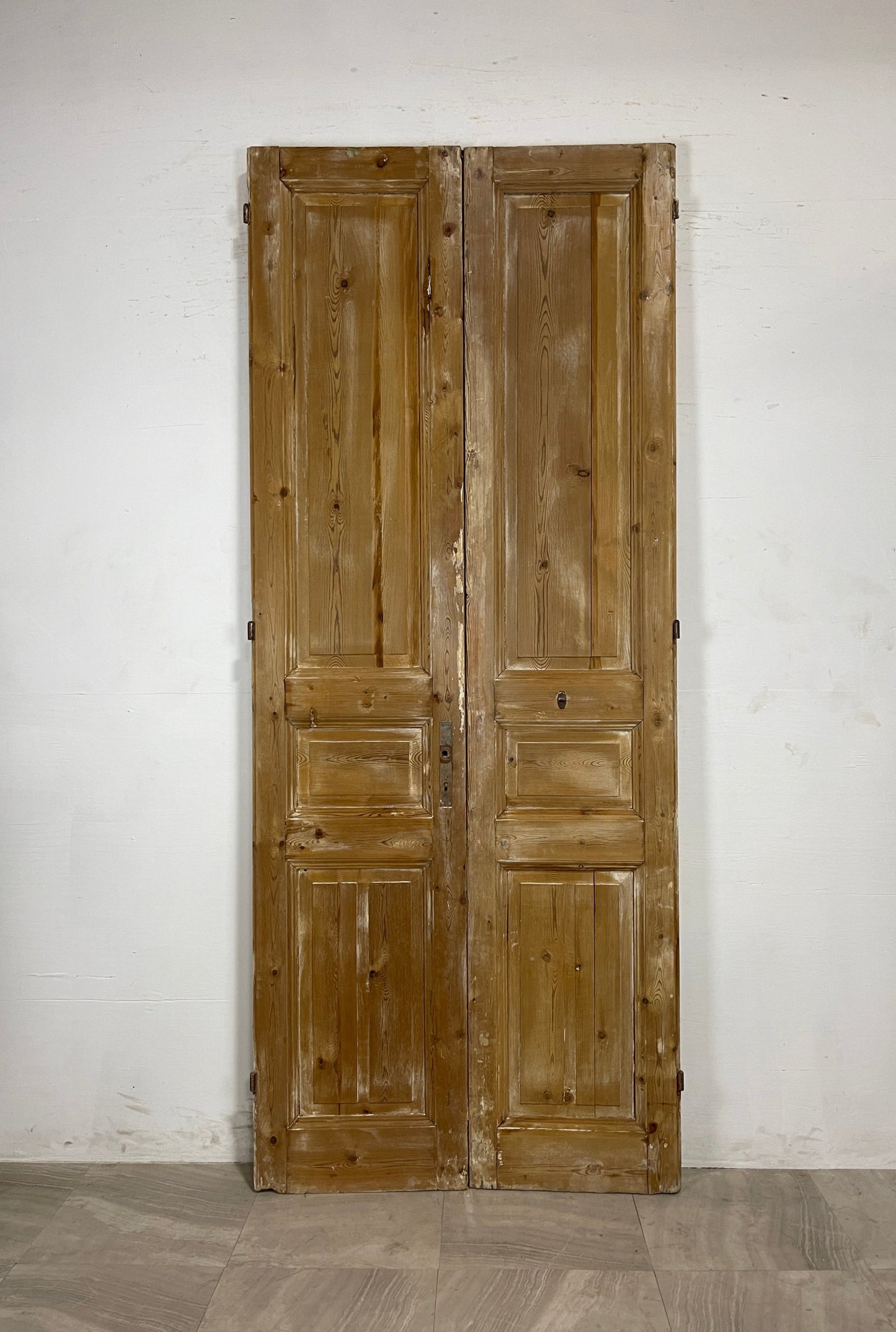 Antique French panel Doors  (101 x 41.5)   N087