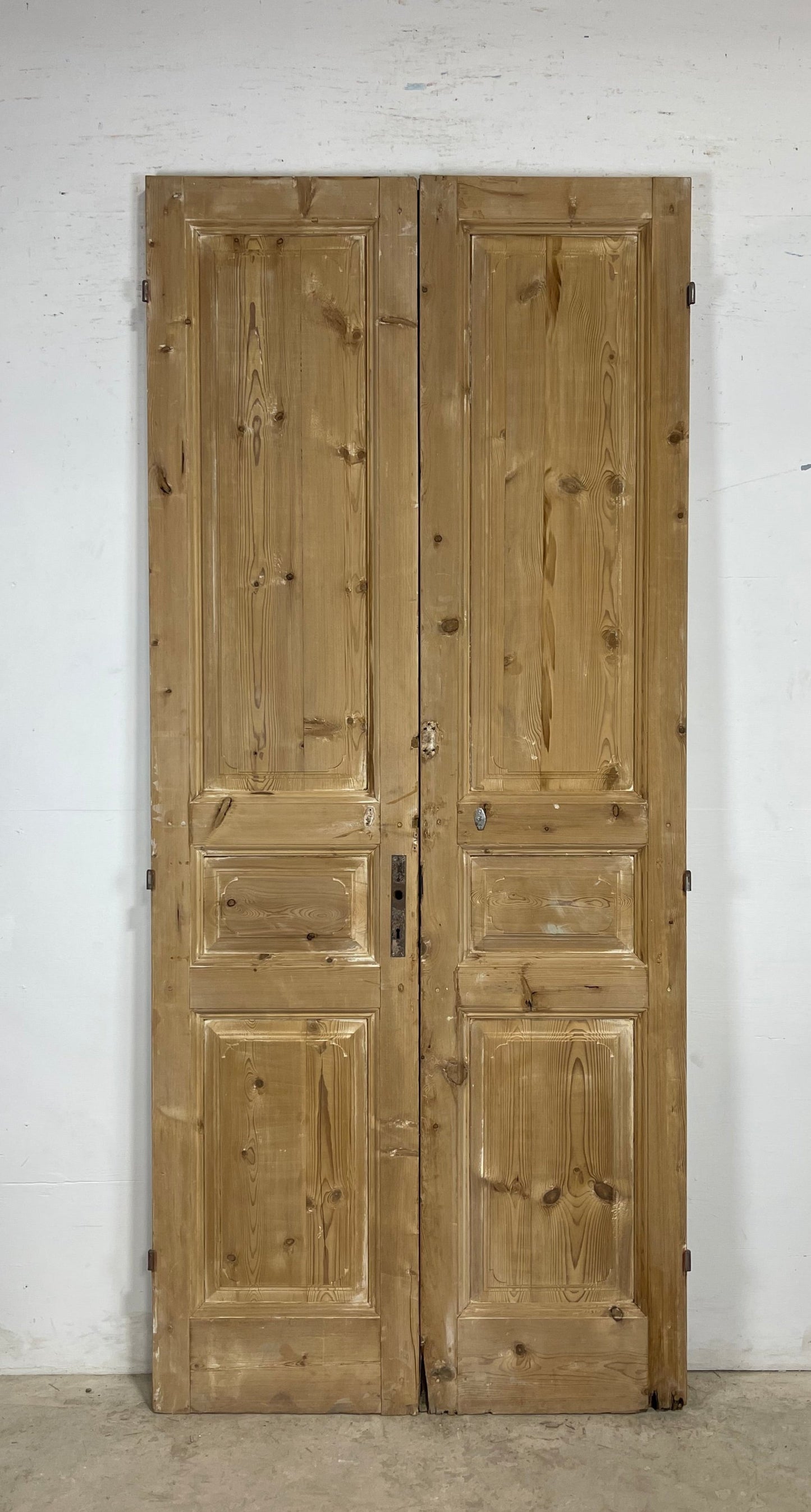 Antique French panel Doors (98 x 43) M171