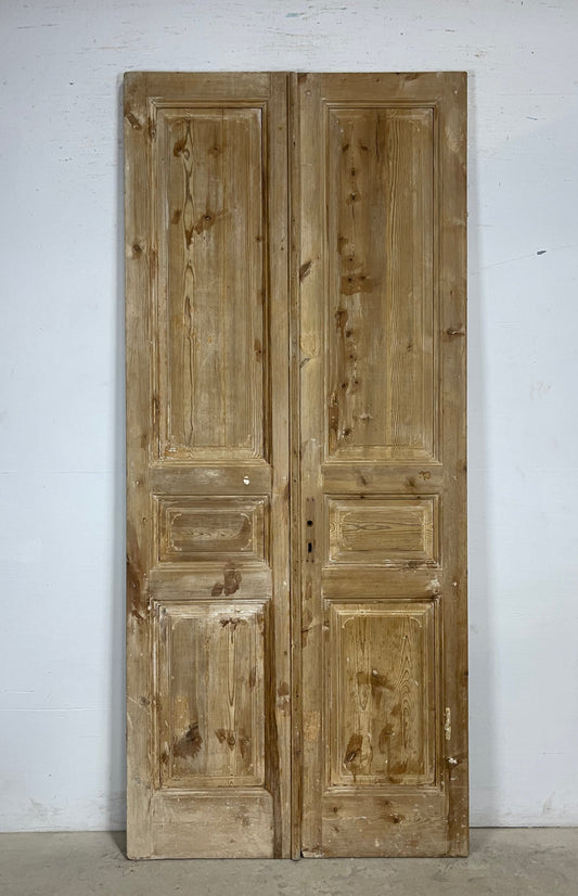 Antique French panel Doors (98x43) M179