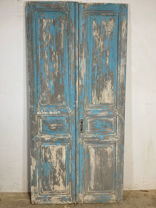 Antique French panel Doors (84.5 x 40.5) K644