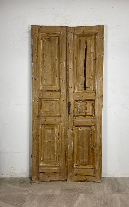 Antique French panel Doors  (94.75 x 43.5)    N136