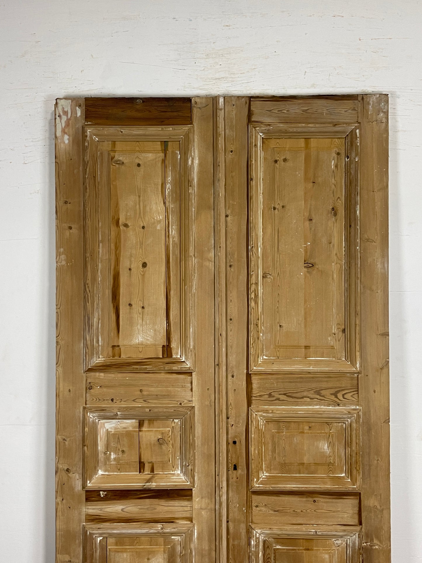 Antique French panel Doors  (94.75 x 46.25)   N141