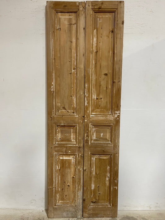 Antique French Panel Doors (91.5x31) J659