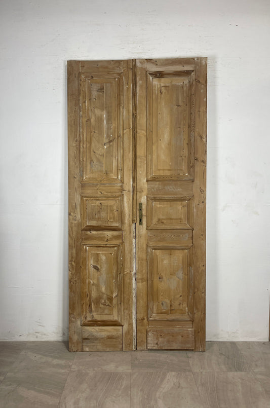 Antique French panel Doors (94.75 x 44.75) N114