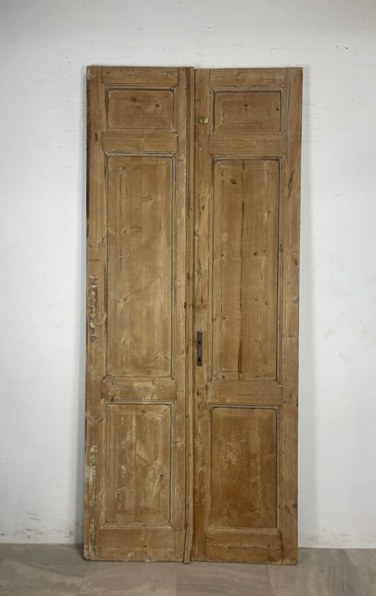 Antique French panel Doors (101.25 x 44) N122