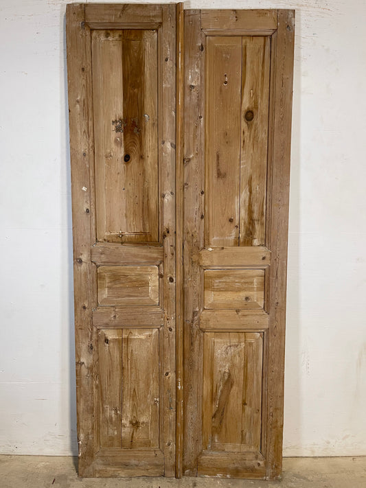 Antique French panel Doors (87.25x39.75) K663