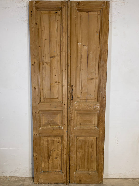 Antique French panel Doors (88x36) K651