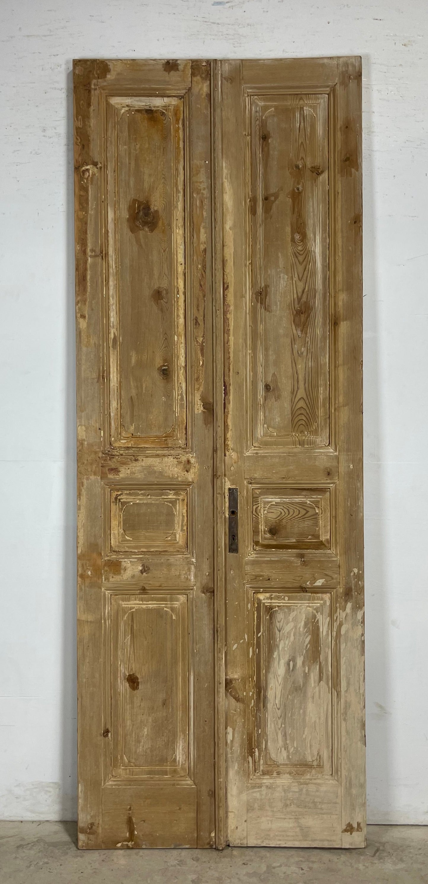 Antique French panel Doors (98.25x36) M194