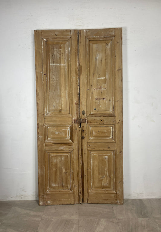 Antique French panel Doors (94.5 x  46.75)  N110