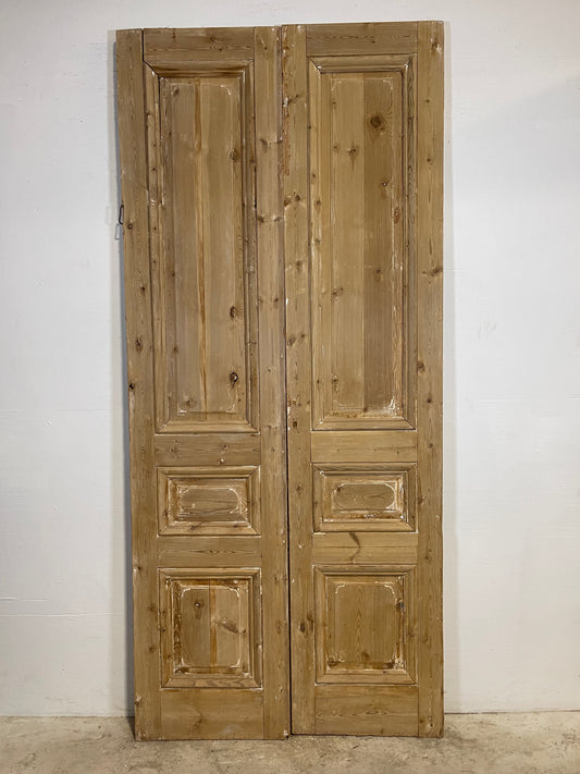 Antique French panel Doors (100.5x44.5) L298