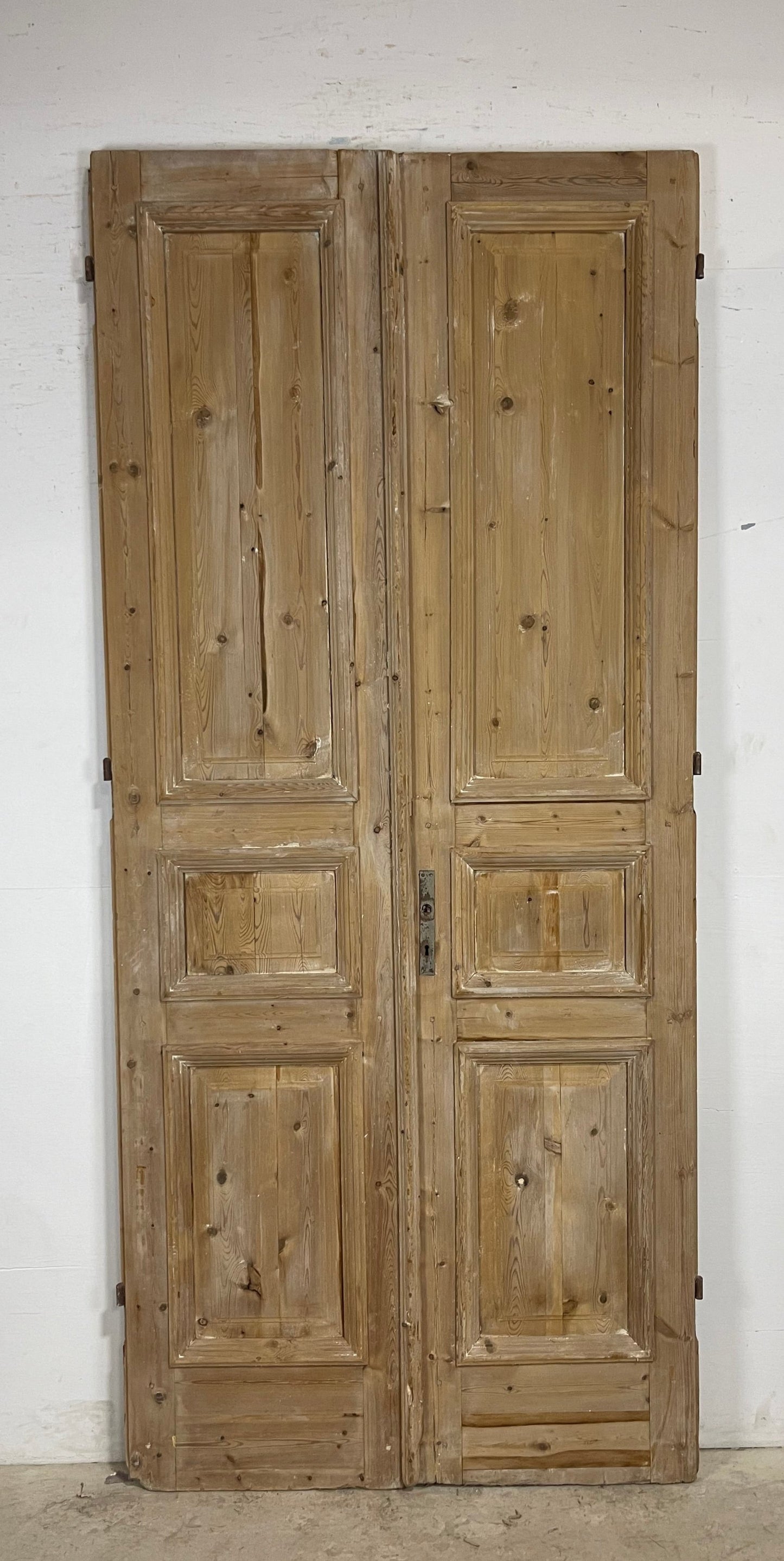 Antique French panel Doors (104.25 x 45.75) M162