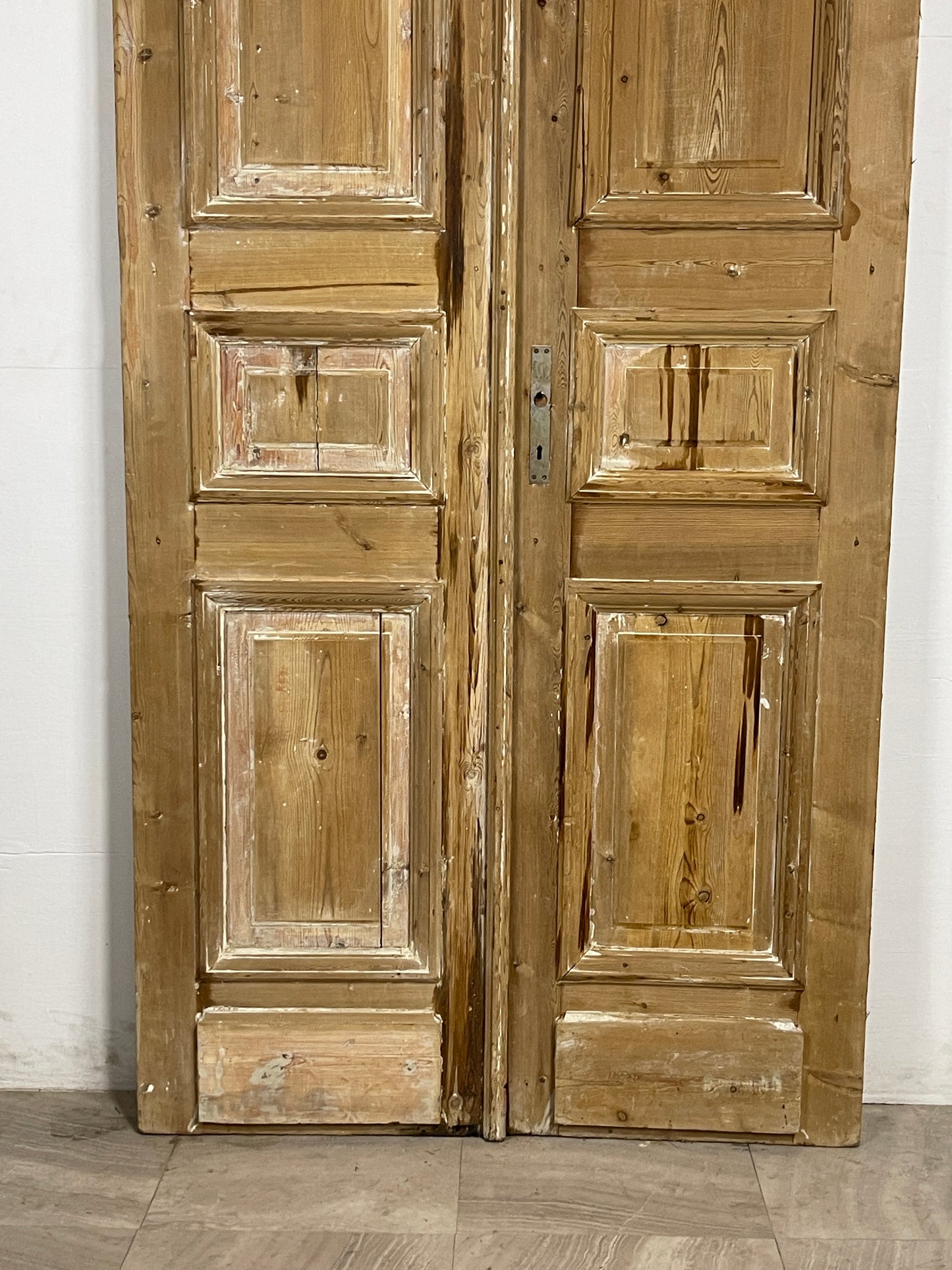 Antique French panel Doors  (94.75 x 46)  N140