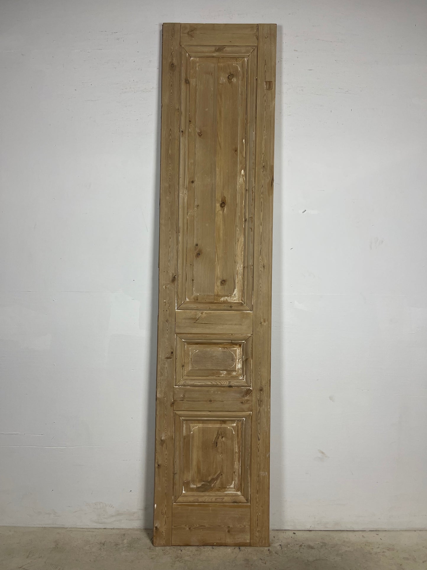 Antique French panel door (100.5x22.5) L379