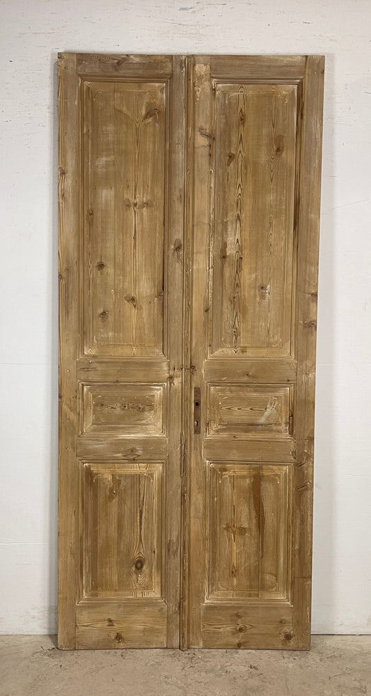 Antique French panel Doors (98.5 x 42.75) M160