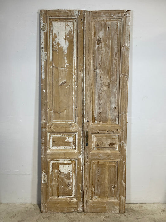 Antique French panel Doors (100.5x43) L299