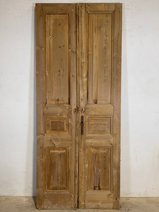 Antique French panel Doors (90.5x37.25) K374