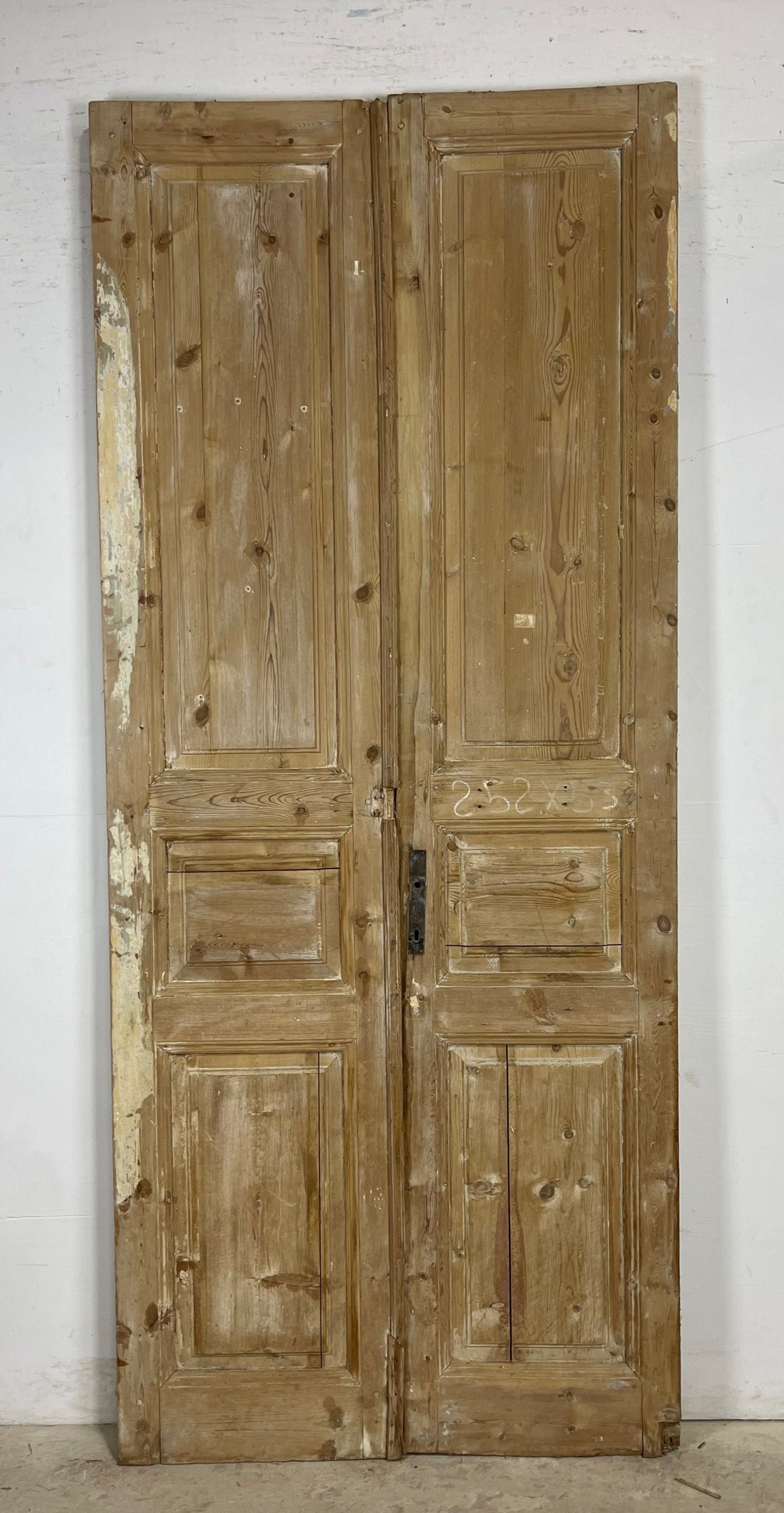 Antique French panel Doors (99.25 x 41.75) M155