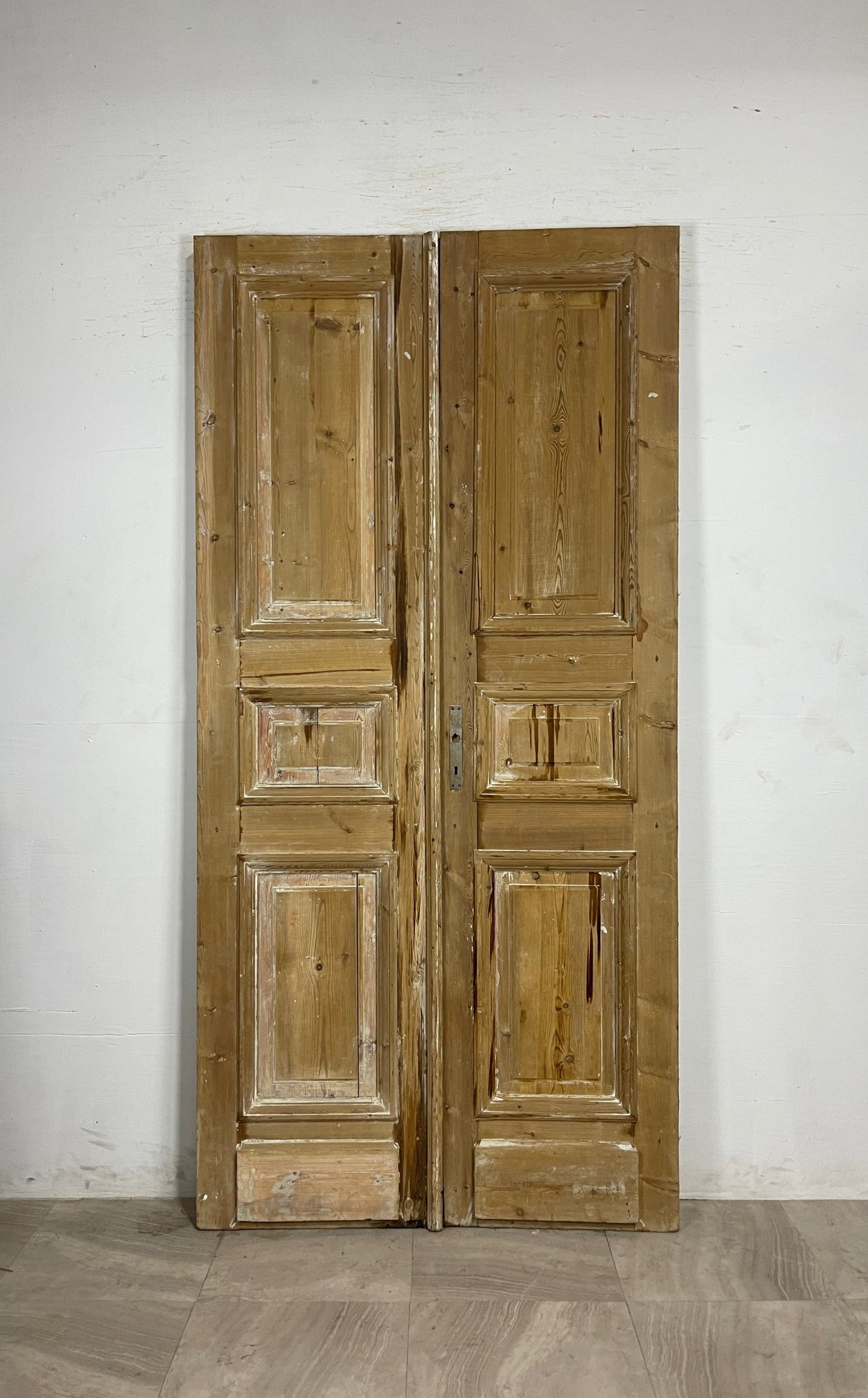 Antique French panel Doors  (94.75 x 46)  N140