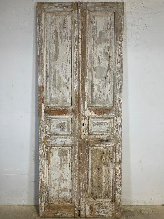 Antique French panel Doors (97.75x38.5) K603