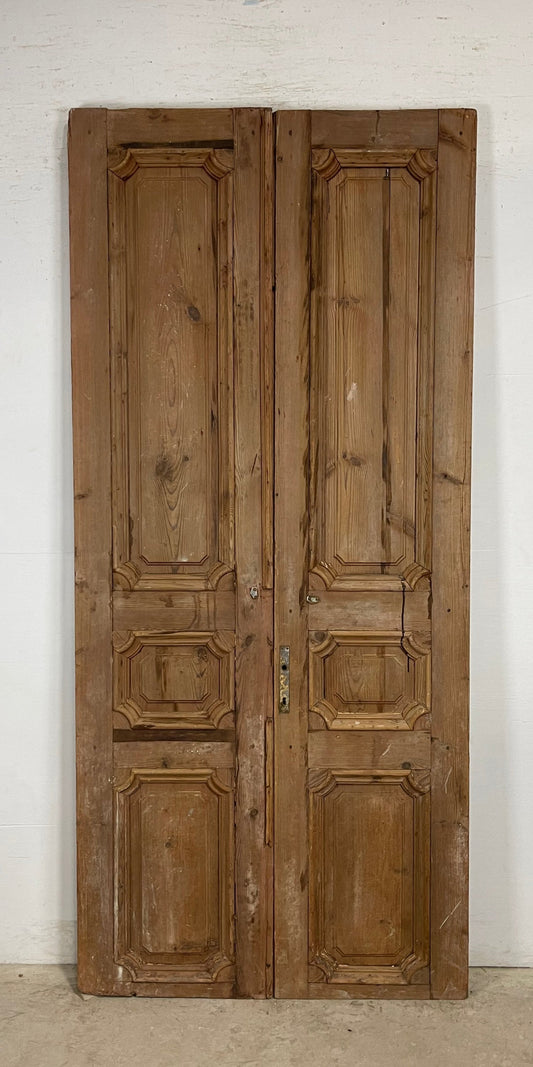 Antique French panel Doors (94.5 x 43) M173