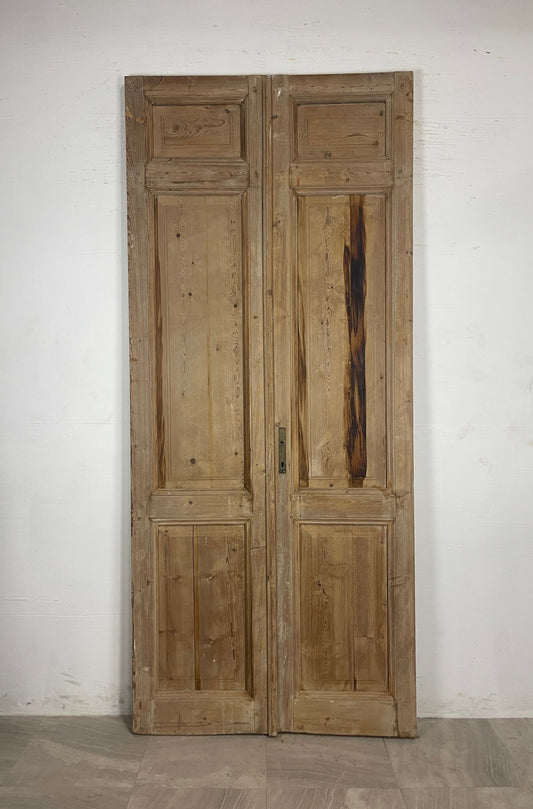 Antique French panel Doors (101.25 x 43.75) N120