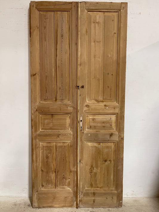 Antique French panel Doors (97.75x44.75) J650