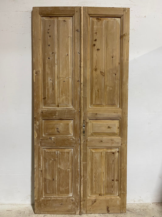 Antique French panel Doors (97.25x40.75) J624