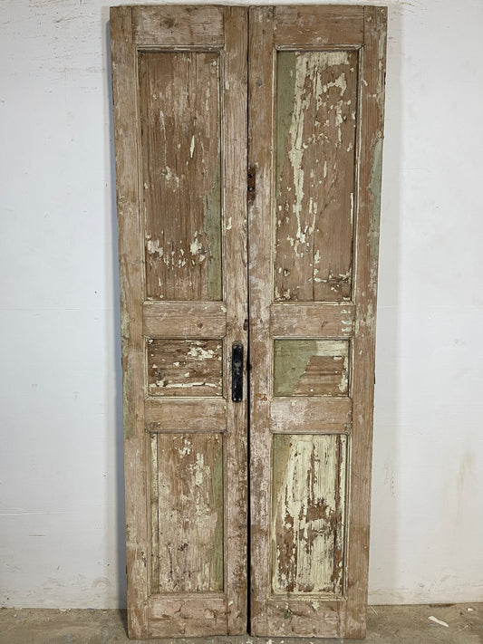 Antique French panel Doors (86.75 x 34.75) K648