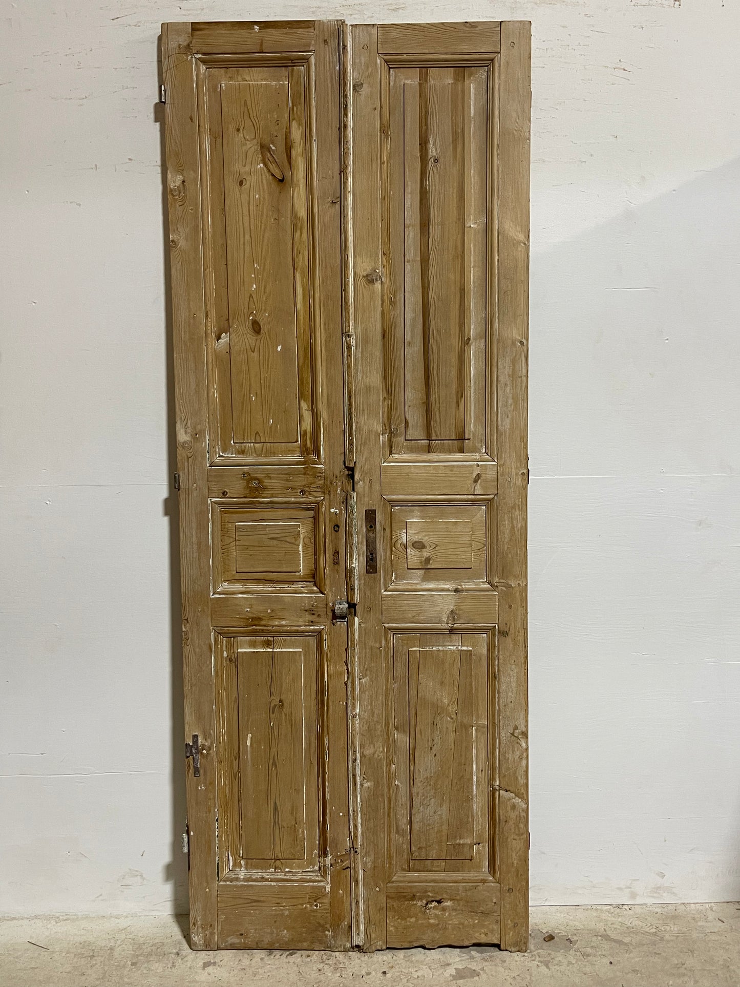 Antique French panel Doors (92x35) J621