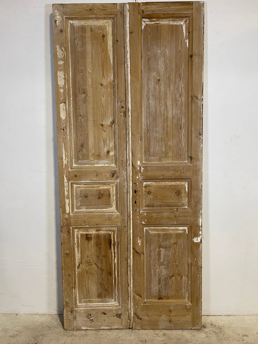 Antique French panel Doors (96x42.25) L289