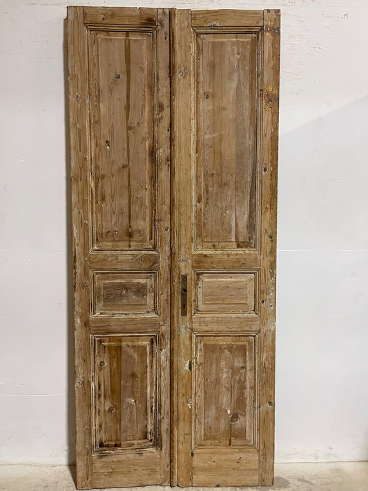 Antique French Panel Doors (94x40.25) J672B