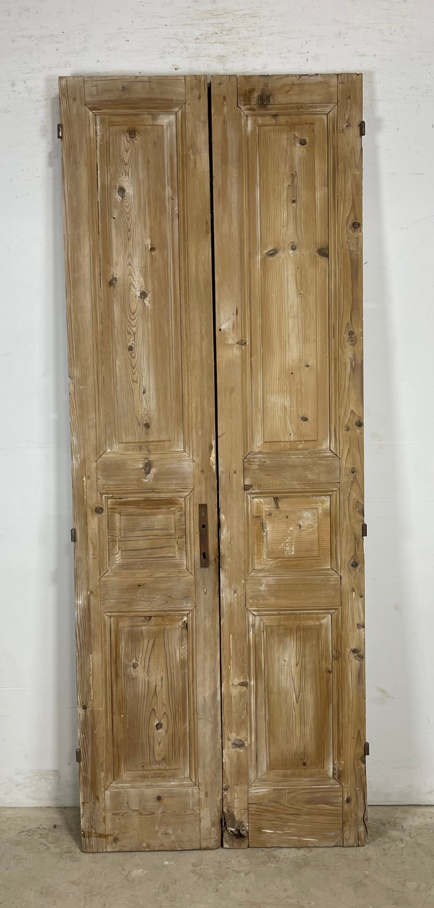 Antique French panel Doors (90.25 x 34.5) M169