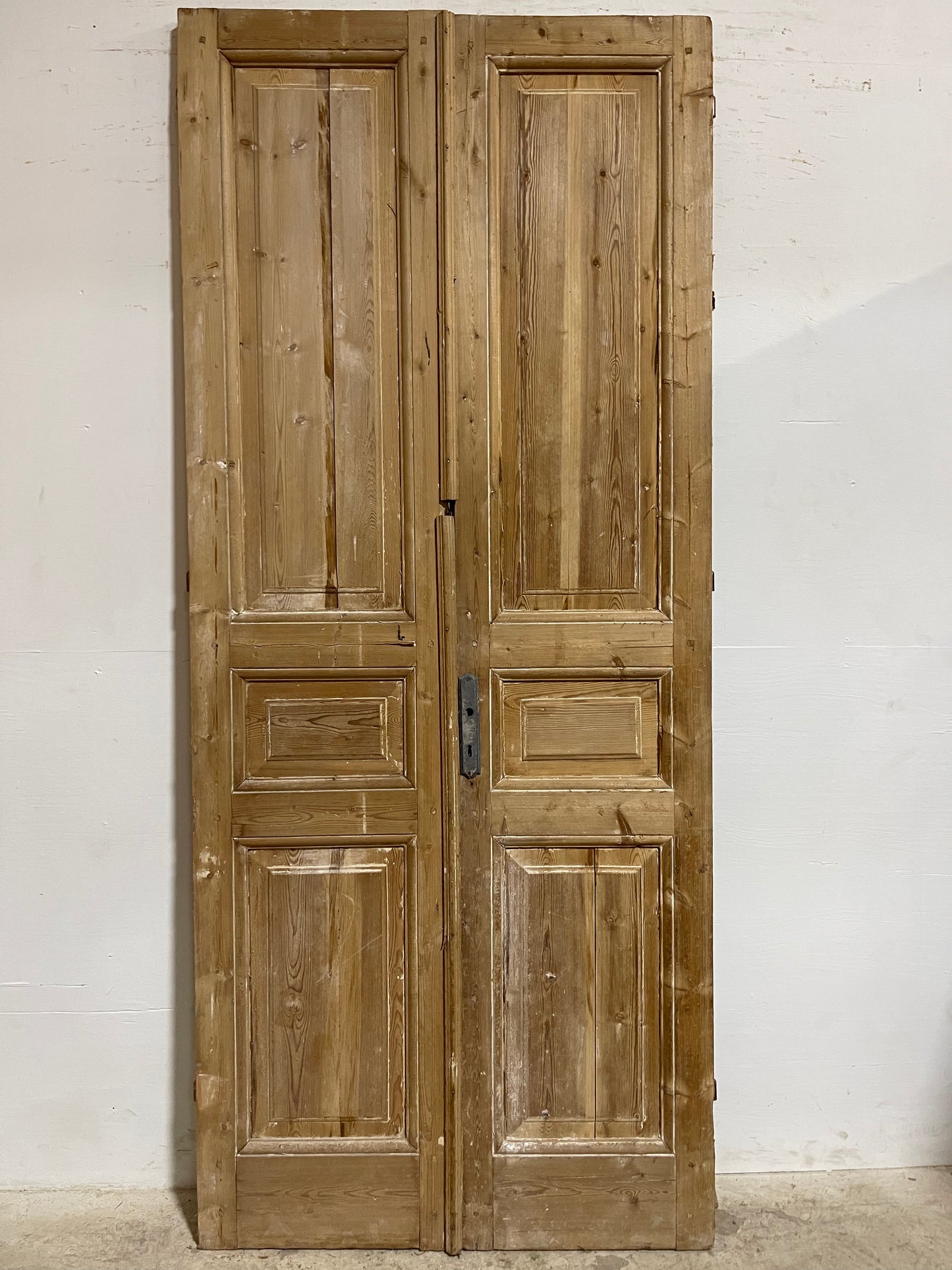 Antique French panel Doors (98.25x41) J616