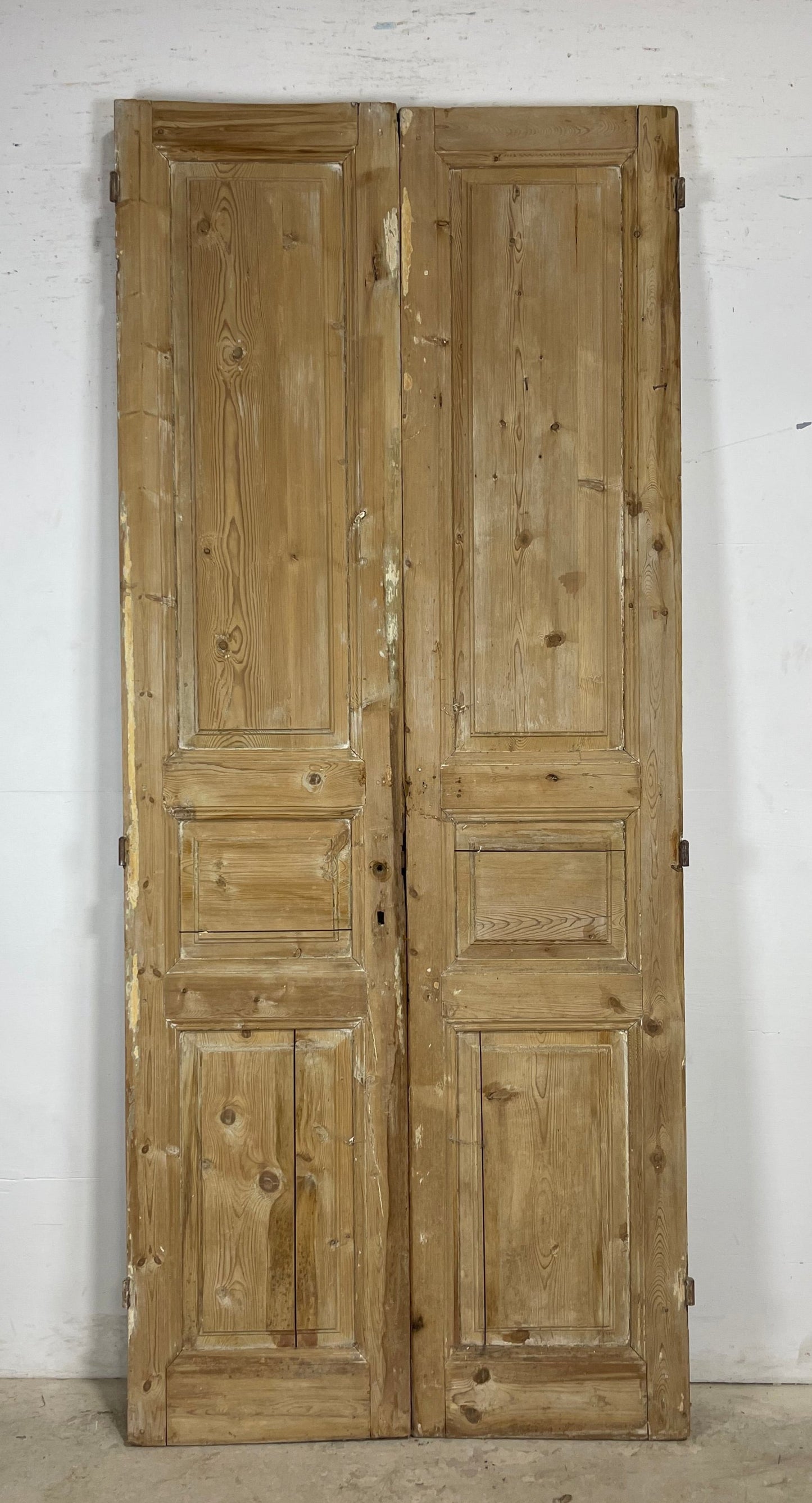 Antique French panel Doors (99.25 x 41.75) M155