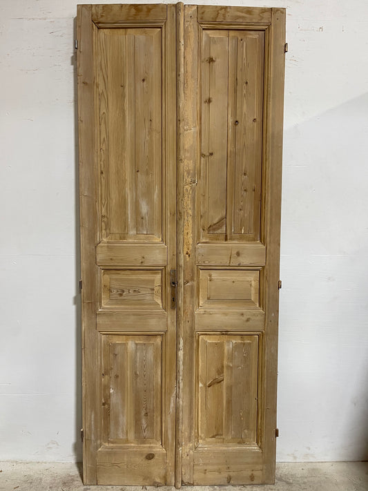 Antique French panel Doors (97.25x40.25) J635