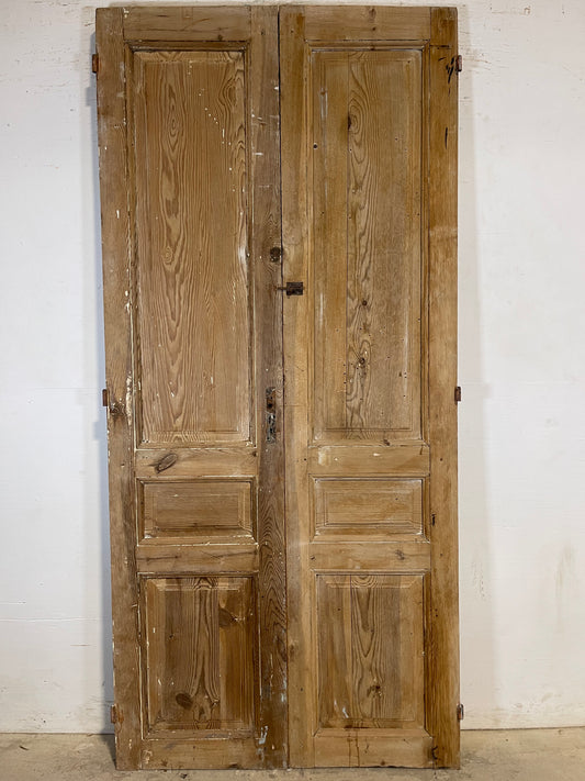 Antique French panel Doors (93.75x43.25) K669