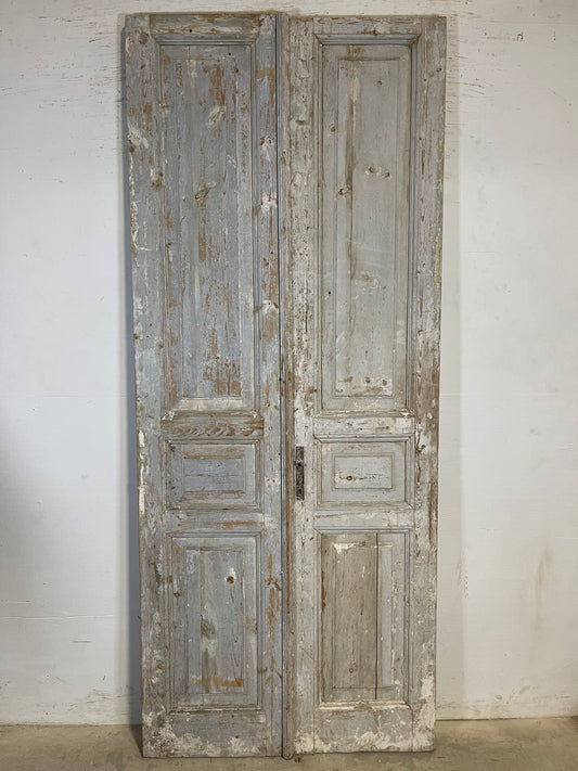 Antique French panel Doors (95.5x39.5) K623