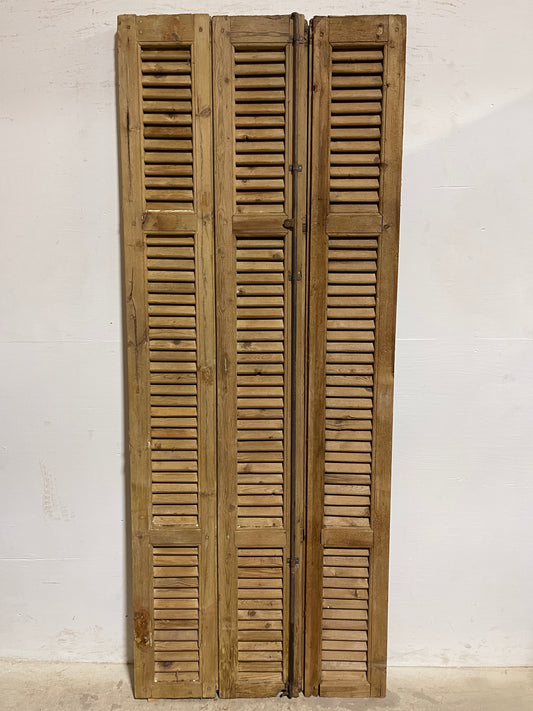 Copy of Antique French Shutters (86.5x33.75) J057