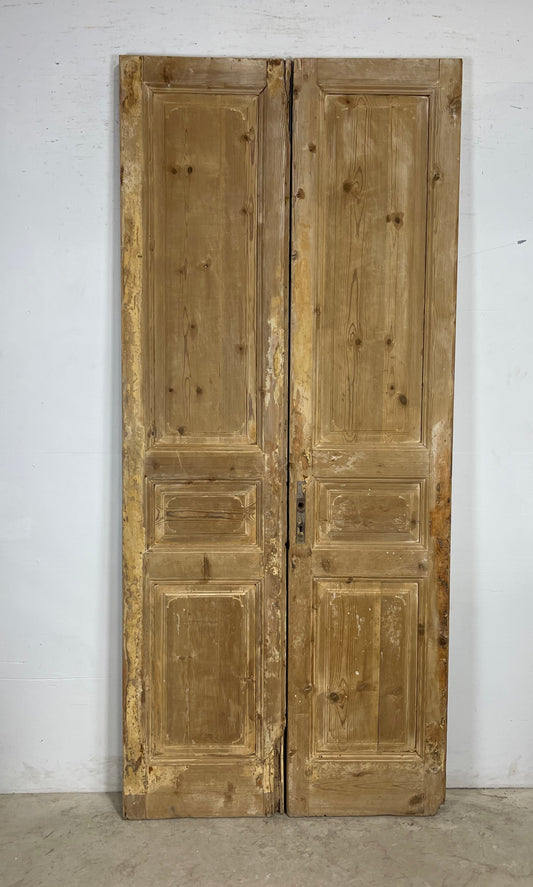 Antique French panel Doors (98x43) M145