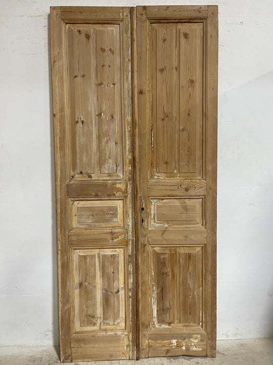 Antique French panel Doors (97.25x44.5) J647