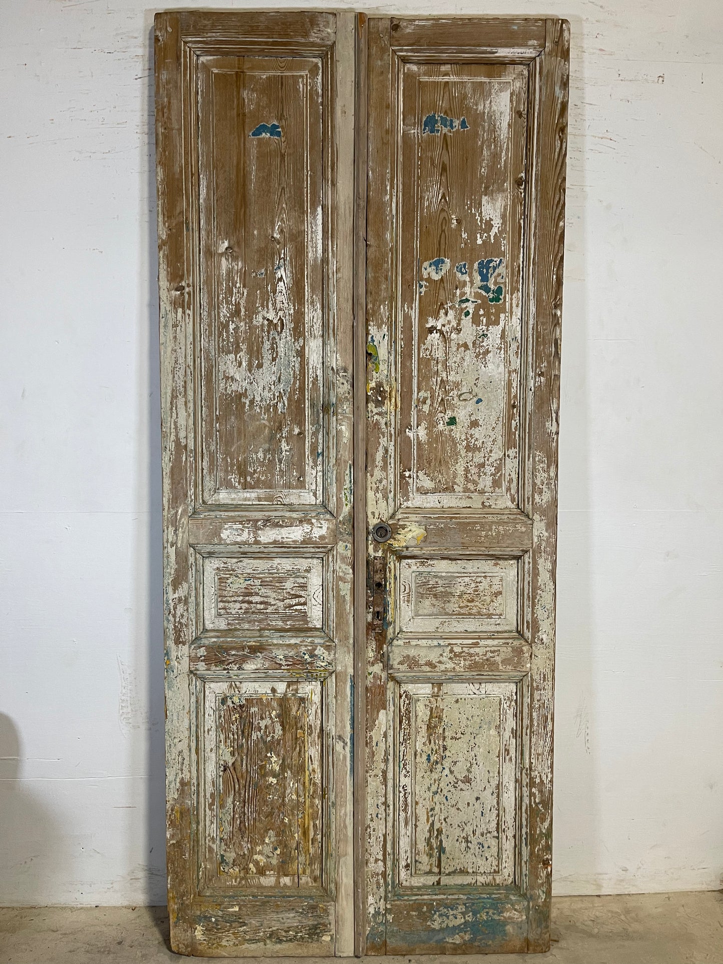 Antique French panel Doors (98.75x42.5) K613