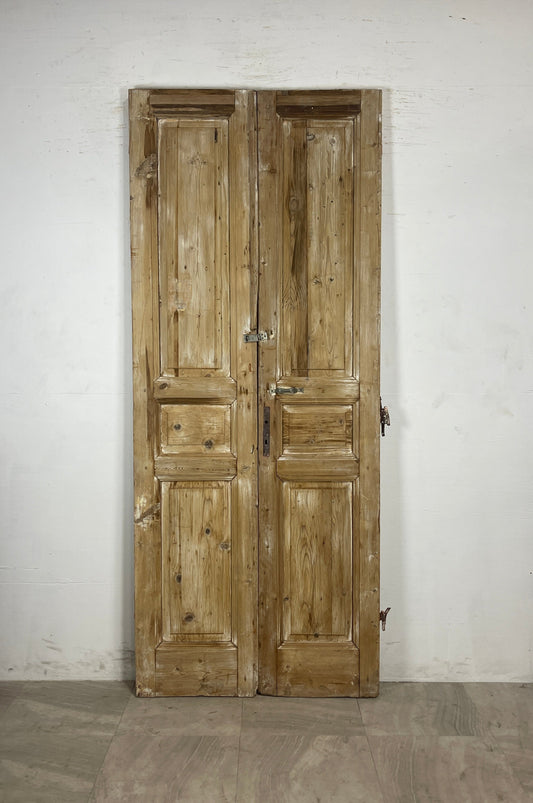 Antique French panel Doors    N111  (94.75 x 38.75)