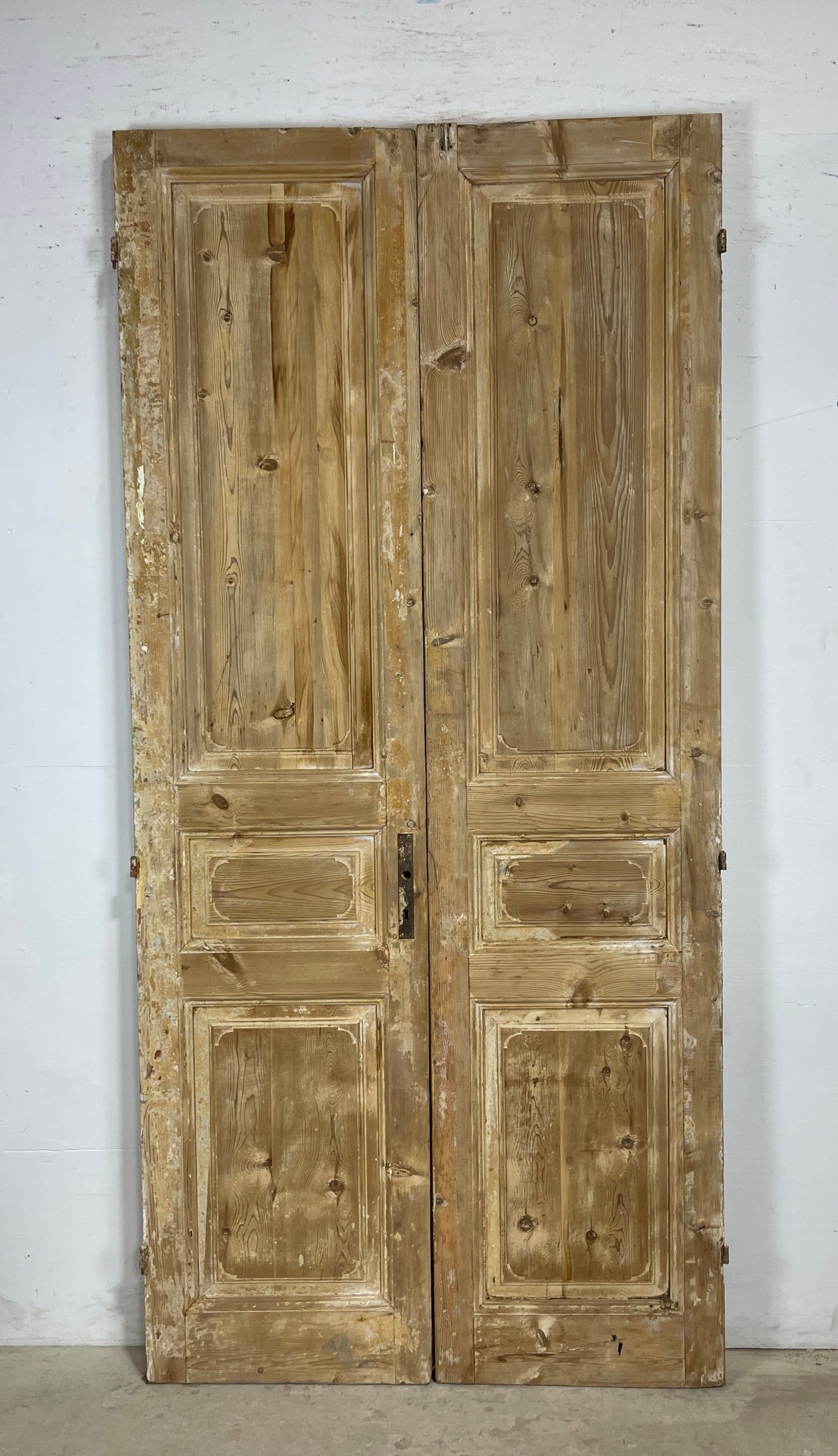 Antique French panel Doors (95.75x45) M151