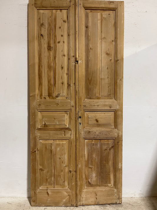 Antique French panel Doors (97.75x44.75) J620