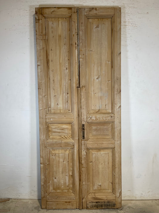 Antique French panel Doors (95.5x39.5) K476