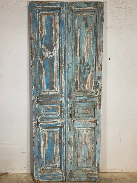 Antique French panel Doors (89.5x34.5) K632